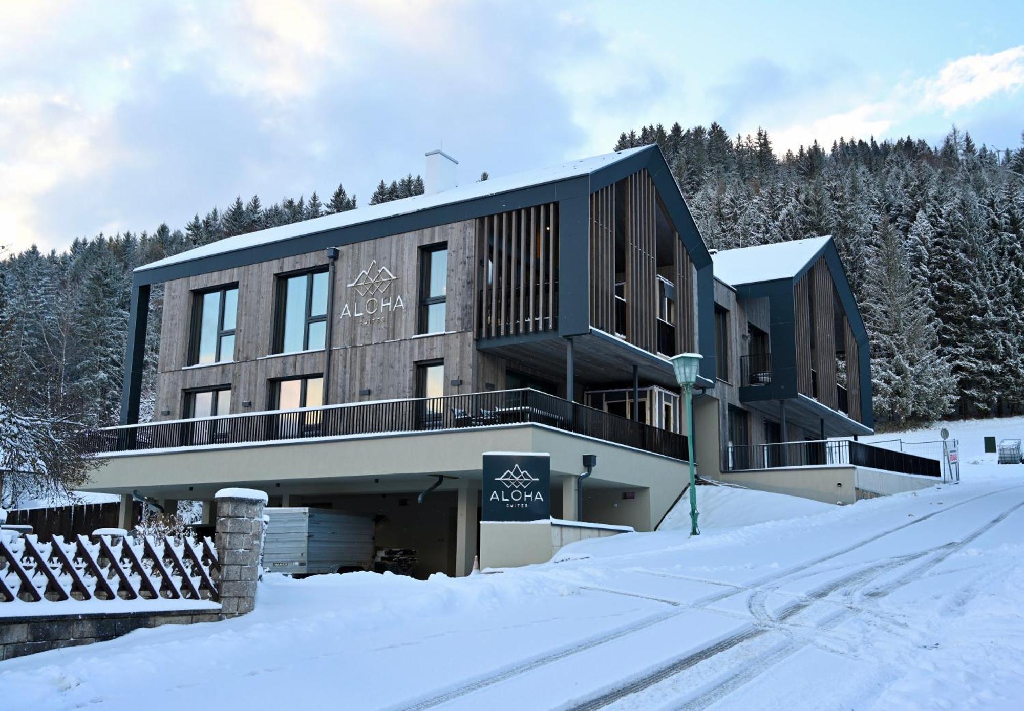 Aloha Suites - Alpin Lodge Haus Haus im Ennstal Exteriör bild