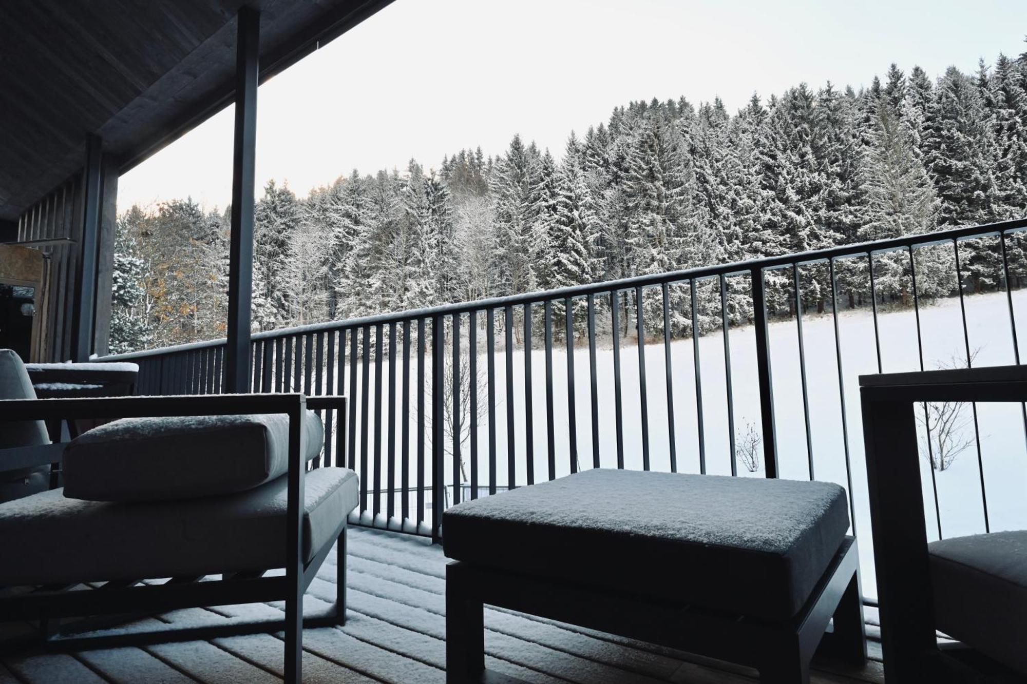 Aloha Suites - Alpin Lodge Haus Haus im Ennstal Exteriör bild