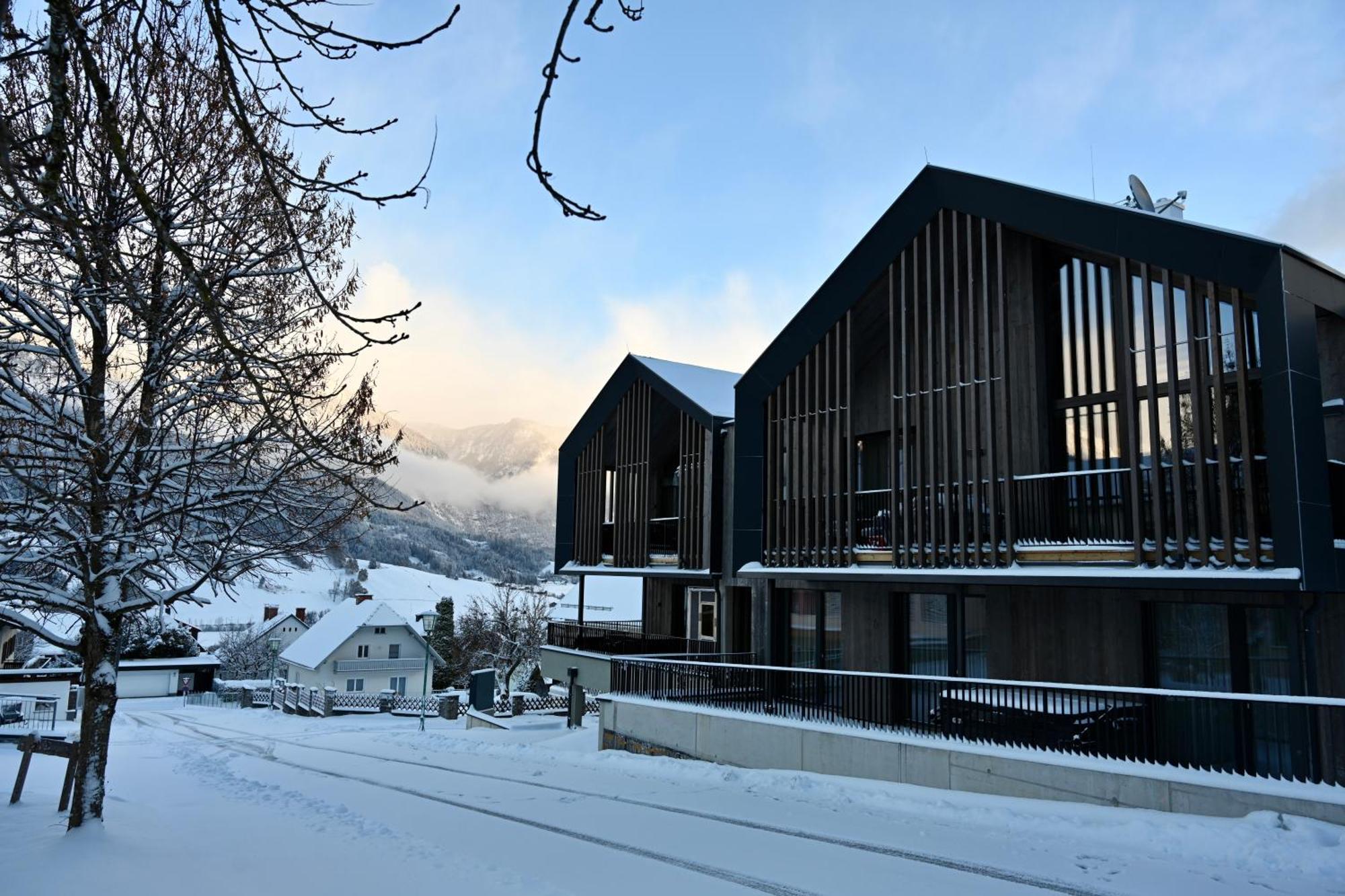 Aloha Suites - Alpin Lodge Haus Haus im Ennstal Exteriör bild